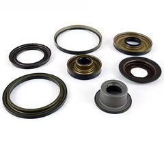 01M 01N Transmission Model Piston Kit 109752D Auto Parts for Volkswagen Audi